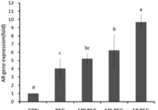 Fig. 3. Real-time PCR of myogenin mRNA expression in the flexor hallucis longus. All data are mean S.D