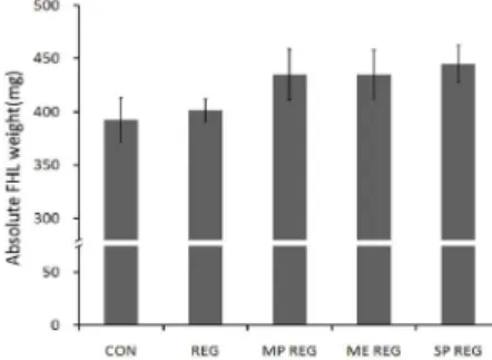 Fig. 3. Absolute flexor hallucis longus (FHL) weight. Vertical bars show standard error of measurement of the means (n = 10).