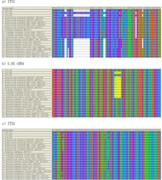 Fig. 1. ITS1, complete 5.8S rDNA and ITS2 DNA sequence alignments of Peruvian entomopathogenic fungi isolates with reference strain sequences