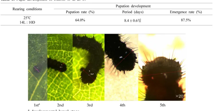 Table 5. Pupal development of Inachis io at 25 o C.