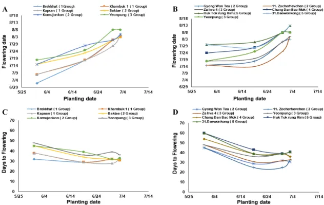 Fig.  4.  Changes  in  flowering  times  (date)  (A,  B)  and  the  days  to  flowering  (C,  D)  with  the  different  planting  times  for  two  types  of  flowering  response,  temperature  response  (A,  C)  and  photosensitive  response  (B,  D).