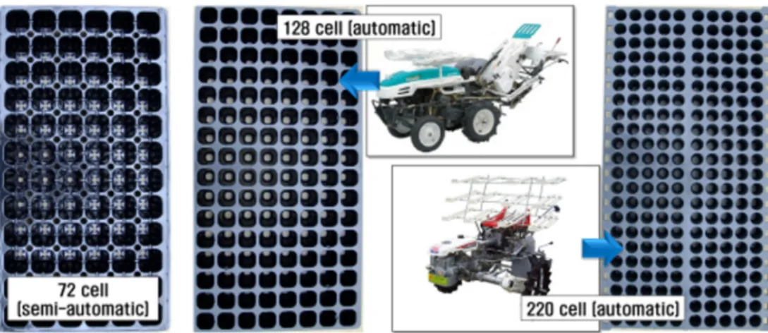 Fig. 1. Transplanting machines and different  types of seedling trays with various  cells: 72-cell (semi-automatic), 128-cell (automatic),  and  220-cell  (automatic)  trays.