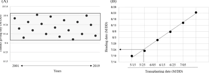 Table 2. The heading date of materials according to different  transplanting date.
