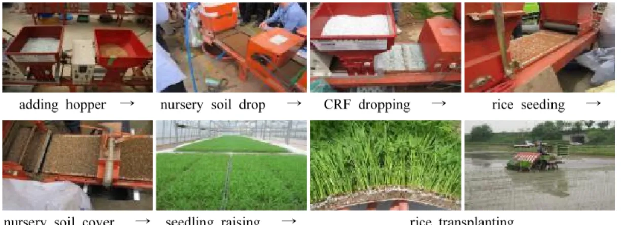 Table 1. Chemical properties of paddy soil used in the experiment.