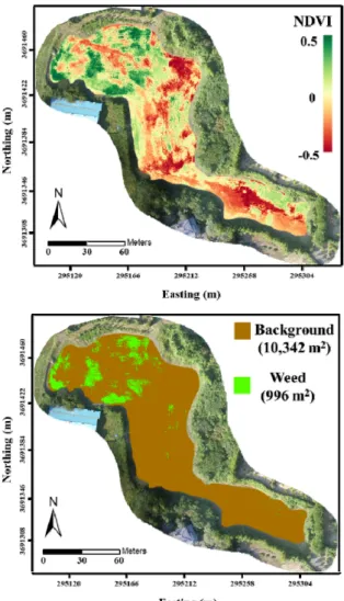 Fig. 4. Normalized difference vegetation index (NDVI) histo- histo-gram for weed detection with threshold value based  on inflection point.