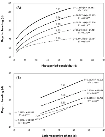 Fig. 4. (A) Relationship between photoperiod-sensitivity and  the days from sowing to heading in all 15 of the  tested rice varieties, and (B) that between the basic  vegetative phase and the days from sowing to heading  in the nine varieties with relative