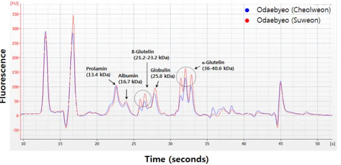 Fig. 2. Electropherogram profiles of total soluble protein of Odae rice grown in different regions in Cheolweon and Suwon.