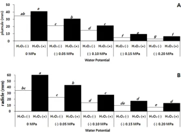 Fig. 1. Effect of H 2 O 2  on germination rate of sorghum seeds under drought condition