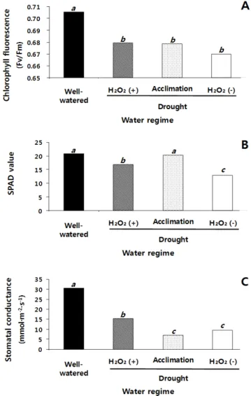 Fig. 5. Influences of soil water potential and foliar applied  H 2 O 2  on plant height (A), stem diameter (B), and shoot dry weight (C) of sorghum plants at 5 weeks after drought treatment