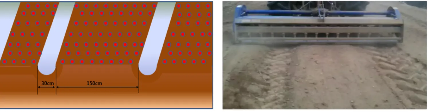 Fig. 1. Mechanical sowing methods and row spacing for foxtail and proso millet.