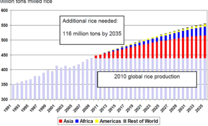 Fig. 2. Global rice production increase needed to meet the  demand by 2035.