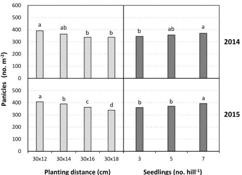 Fig. 1. Number of panicles in ‘Haiami’ rice plants grown at different planting distances and seedling numbers per hill in Suwon