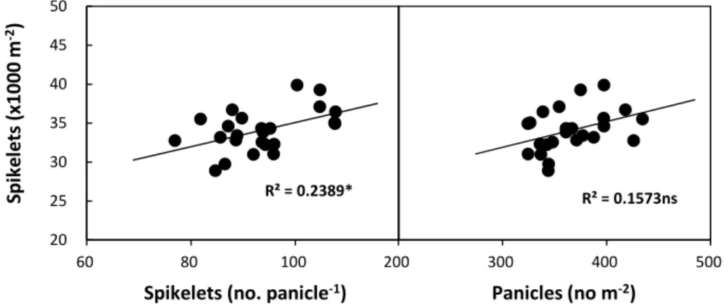 Fig. 6. Relationship of spikelet number per unit area with spikelet number per panicle and panicle number per unit area in 