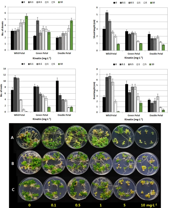 Fig. 7. Effect of different kinetin concentration on shoot and adventitious root formation from the nodes of three P