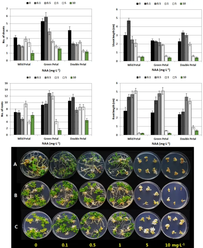 Fig. 8. Effect of different NAA concentration on shoot and adventitious root formation from the nodes of three P