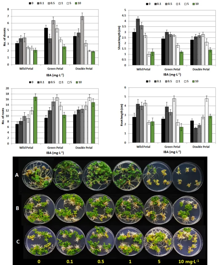 Fig. 10. Effect of different IBA concentration on shoot and adventitious root formation from the nodes of three P