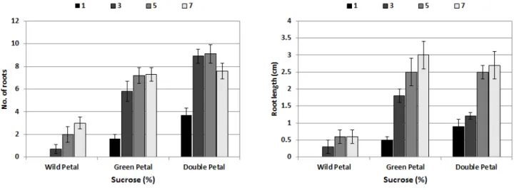 Fig. 2. Effects of varying sucrose concentration on shoot and adventitious root formation from the nodes of three P