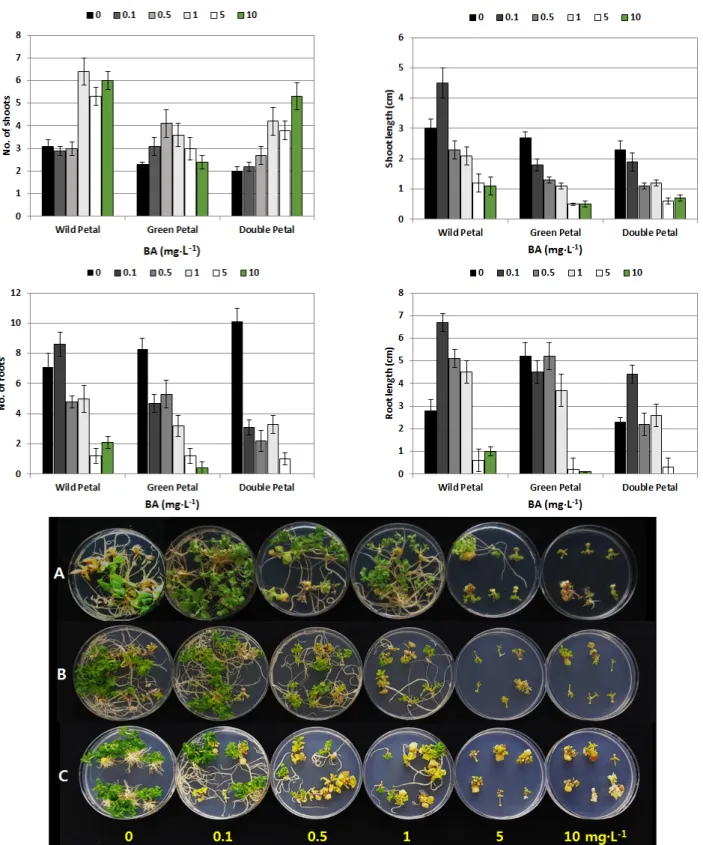 Fig. 5. Effect of different BA concentration on shoot and adventitious root formation from the nodes of three P