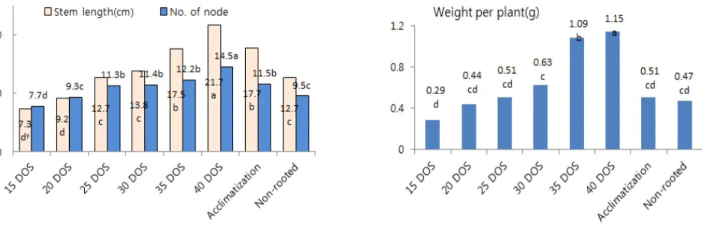 Fig 1. Plantlet quality of characteristics of the potatoes used for the  experiment.