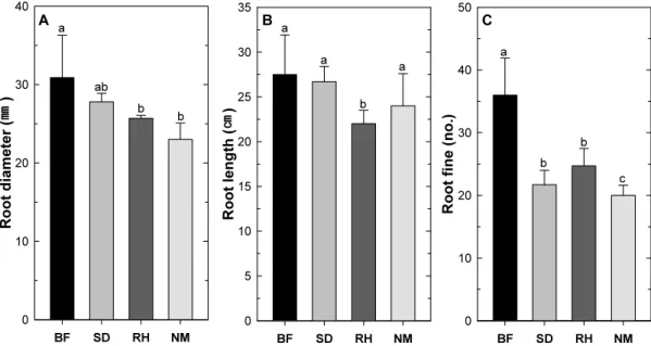 Fig. 2. Root fresh weights of Platycodon grandiflorum with  different mulching materials