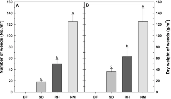 Fig. 3. Number and dry weight of weeds with different mulching materials (A: number of weeds, B: dry weight of weeds)