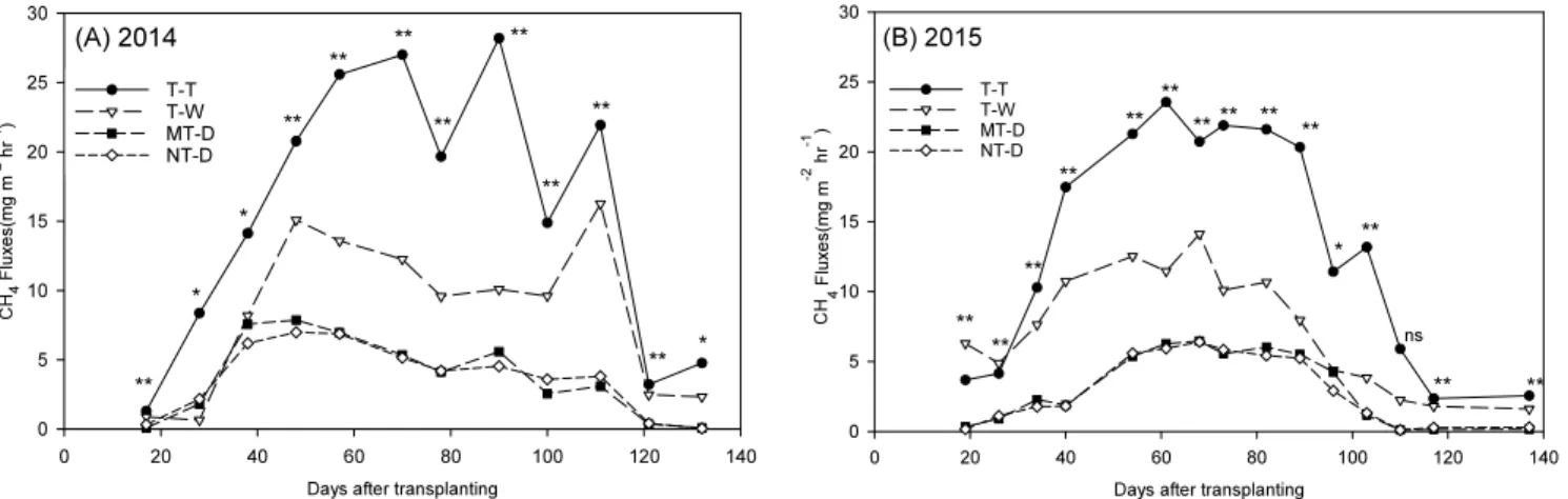 Fig. 3. Daily methane emissions affected by different tillage and cultivation methods