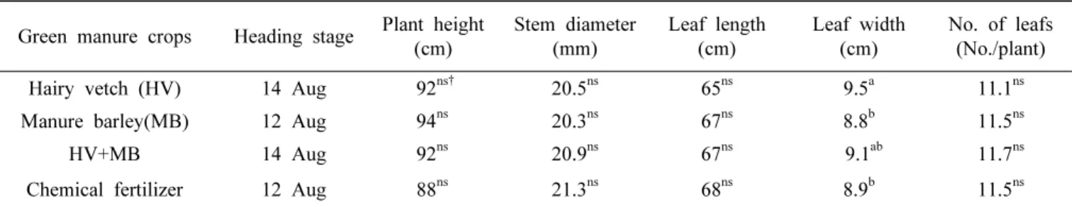 Table 4. Time of heading stage and growth characteristics at heading of sorghum cultivated at the upland field with incorporation  hairy vetch and/or green manure barley in 2015.