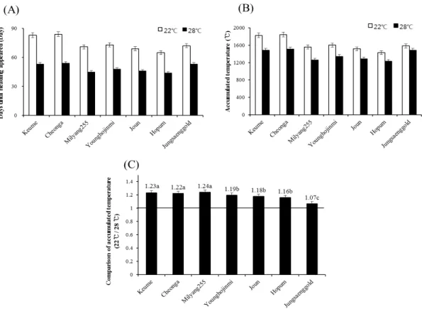 Fig. 1. Change of vegetative growth phase (A), accumulated temperature during vegetative growth phase (B) and comparison  of accumulated temperature during vegetative growth phase (C) under different temperature