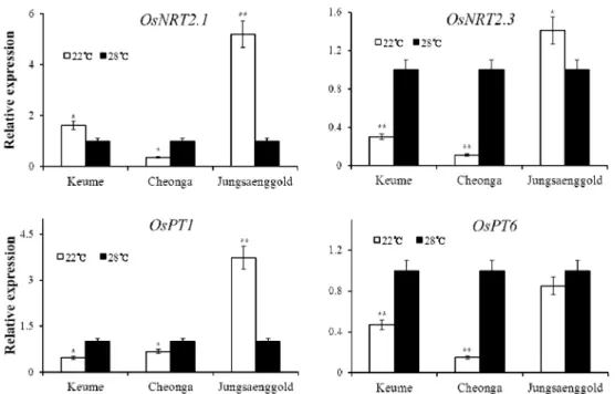 Fig. 5. Change of gene expression in the shoot under different temperature condition. The expression of two kinds of nitrate  transporter,  OsNRT2.1  and  OsNRT2.3, and two kinds of phosphate transporter, OsPT1  and  OsPT6, were checked to  nutrient uptake