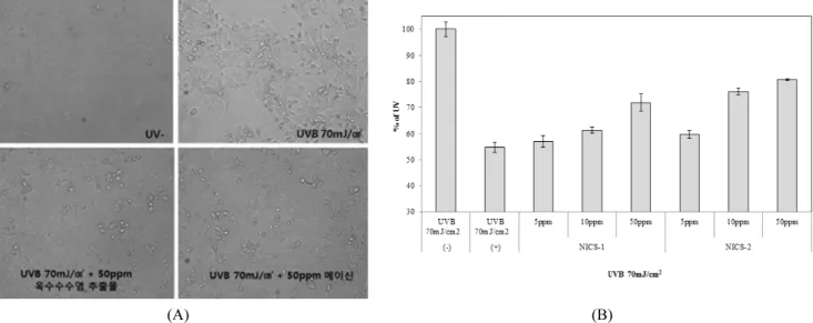 Fig. 2. Effect of corn silk extract on the survival of HaCaT  cells. The cells were cultured in the presence of various concentrations of samples for 24 h