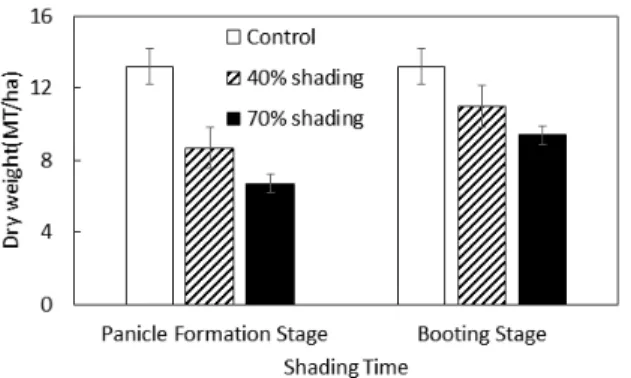 Fig. 3. Changes in lodging index after 40% and 70% shading treatments at the panicle formation stage and booting  stage after heading in the rice paddy field (vertical  lines on the top of the bars are standard errors).