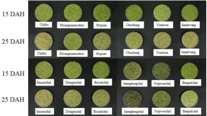 Fig. 2. Comparison on chromaticity of rice grain at two harvest time (15 and 25 DAH) among 12 rice varieties of  transplanting time at June 20 th .