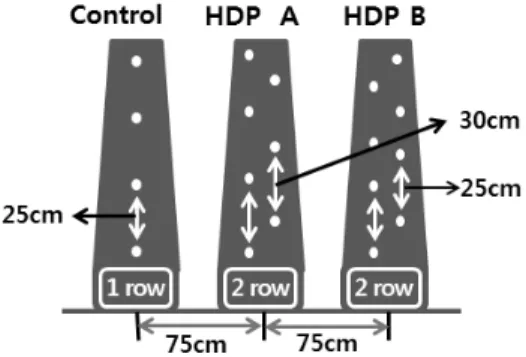 Fig. 1. Diagram of 2-row zigzag high-density planting (HDP  A and B) compared to 1-row planting (control) per  furrow in sweet potato cultivation.