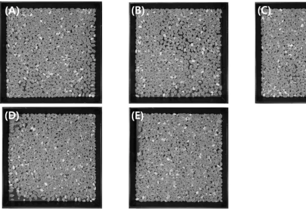 Fig. 3. Effect of seedling nursery type and planting density on milled rice quality. (A) Conventional tray seedling, and pot  seedlings in four different planting densities of (B) 15.2, (C) 18.9, (D) 21.6 and (E) 25.3 hills per m 2 ,  respectively