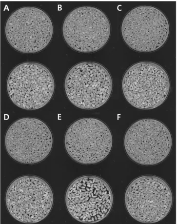 Fig. 2. Effect of high-temperature on quality of rice grain. 