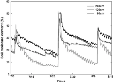 Fig. 3. Soil moisture content by ridge width in proso millet.