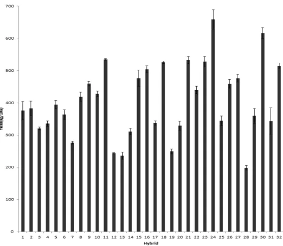 Fig. 1. Comparison of the first attached fresh ear yield per 10a of CNU waxy corn hybrids(9, 24 and 32 were control hybrids).