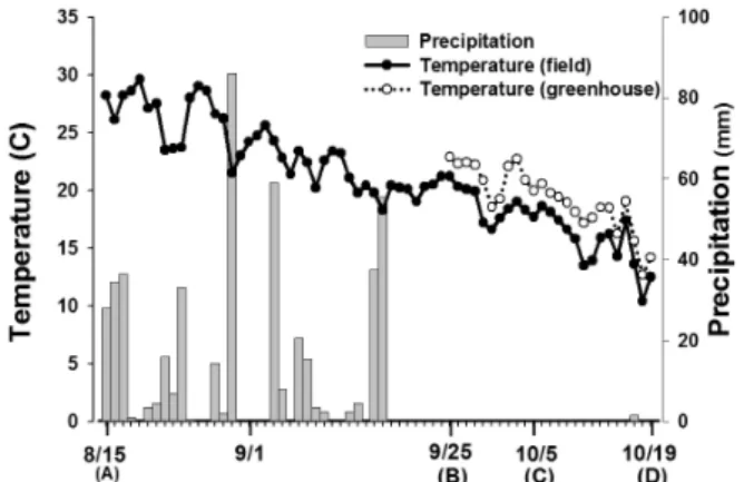 Fig. 1. Meteorological data of precipitation and average daily  temperature (field and greenhouse) from days preceding rice harvest in 2012 (A): heading stage, (B): 40 days  after heading (first rainfall treatment), (C): 50 days  after heading (second rain