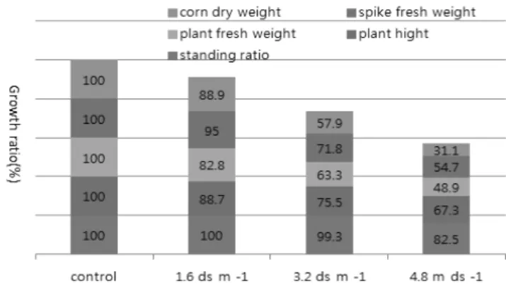 Fig 1. Growth ratio of each growth factor of corn as a  function of different soil salinity regimes