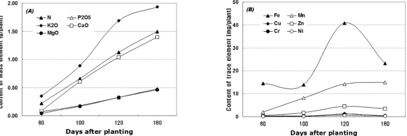 Fig. 4. Change of mass (A) and trace elements (B) content in yam (D.  opposita) plant during the period of growing up.
