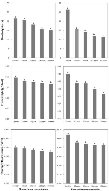 Fig. 2. Influences of phenanthrene on plant height, fresh weight and chlorophyll fluorescence of soybean (left) and rice (right)  plant grown for 7 days in agar medium containing phenanthrene