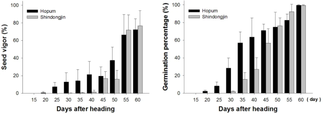 Fig. 1. Seed vigor and germination percentage of panicles according to days after heading in Hopum and Shindongjin(vertical  bars in graph are standard deviation).