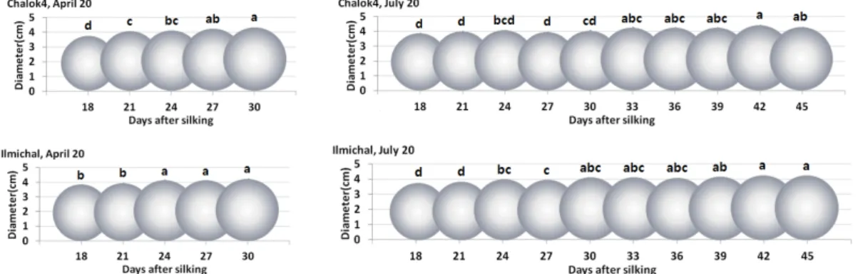 Fig. 4. Changes of the ear diameter of waxy corn according to days after silking with different sowing date