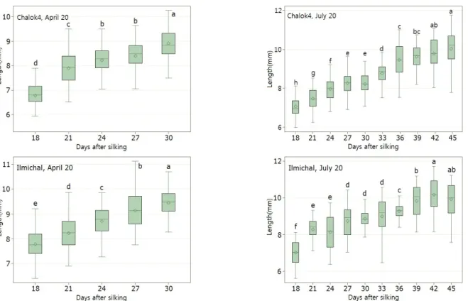 Fig. 6. Comparison on the kernel length of waxy corn according to days after silking with different sowing date