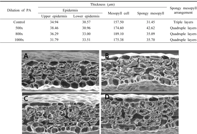 Table 1. The effect of the different dilution of pyroligneous acid (PA) on the leaf of 3-year-old ginseng.