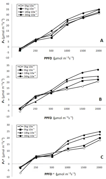 Fig. 1. Photosynthetic activities of maize as affected by N  fertilizer rate and Light intensity