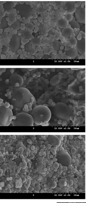 Fig. 1. Scanning electron micrograph of black pigmented barley starch granules irradiated with proton beam (2.0kX)