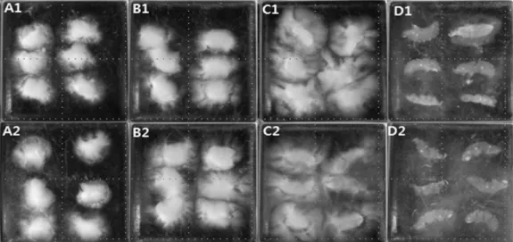 Fig. 1. Comparison of   A.D.V spreading values in 4 groups of milled rice grains classified  to differences of amylose content