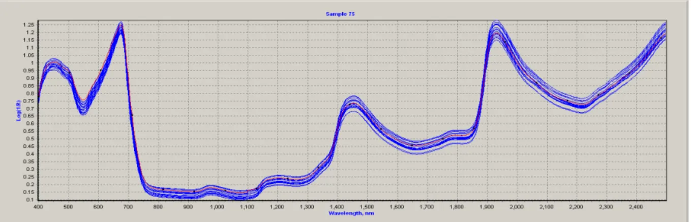 Fig. 2. 19 samples of rice leaf spectrum at 400-2500nm with foss model 6500.