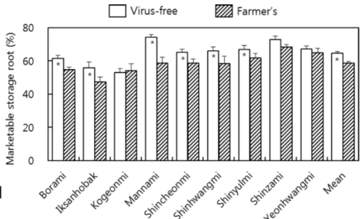 Fig. 2. Marketable yield among different cultivars and slip  sources at 110 days cultivation in the late-cultivation  of sweet potato.